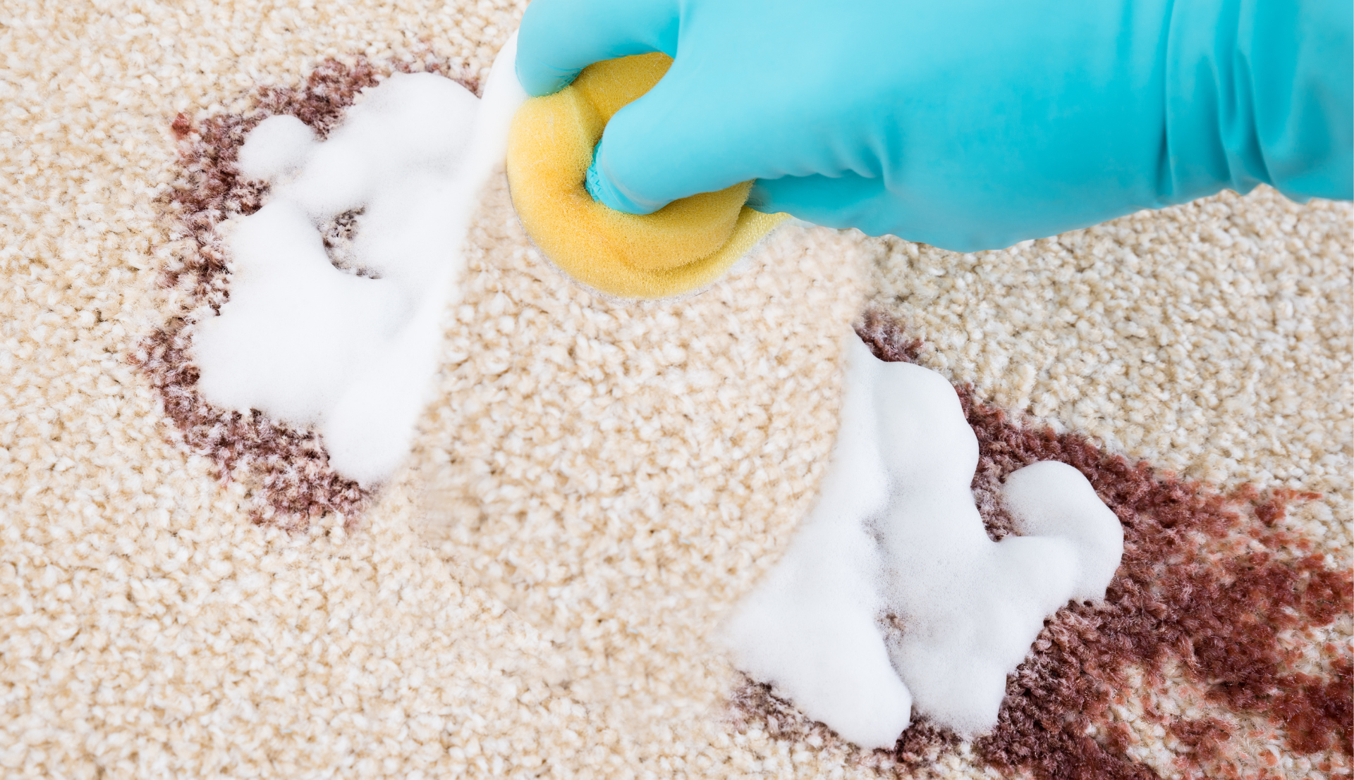 پاک کردن لکه فرش با محلول های لکه بر